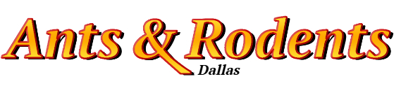 Dallas Ant Exterminator & Rodent Control Company Logo